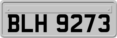 BLH9273