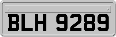 BLH9289