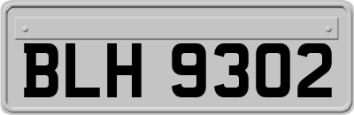 BLH9302