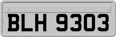 BLH9303