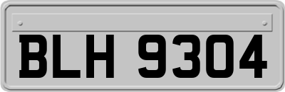BLH9304