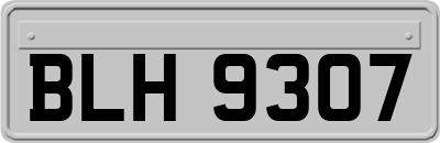 BLH9307