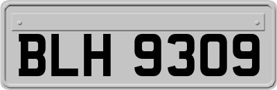 BLH9309