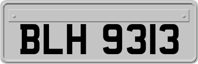BLH9313