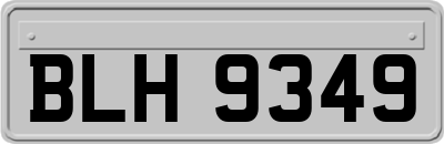 BLH9349