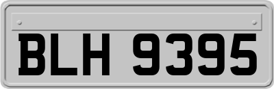 BLH9395