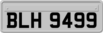 BLH9499
