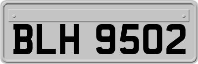 BLH9502