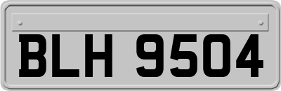 BLH9504