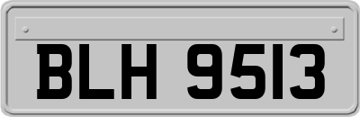 BLH9513