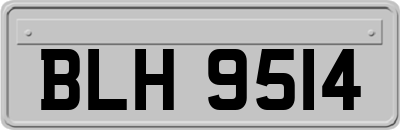 BLH9514