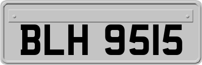 BLH9515