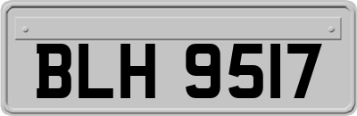 BLH9517