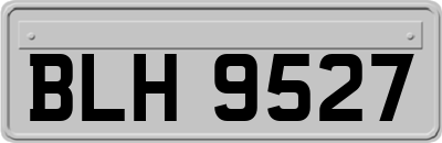 BLH9527