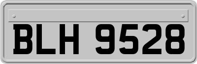 BLH9528