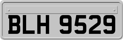 BLH9529
