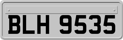 BLH9535