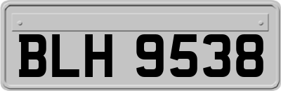 BLH9538