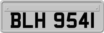 BLH9541
