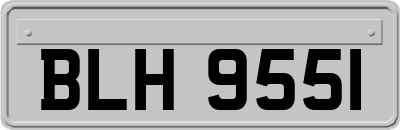 BLH9551
