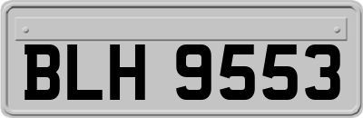 BLH9553