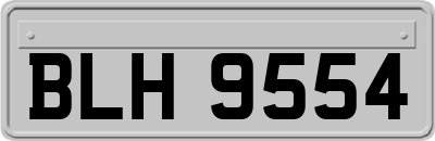BLH9554
