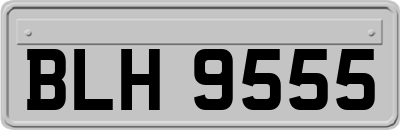 BLH9555