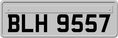 BLH9557