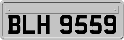 BLH9559