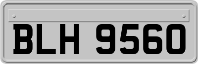 BLH9560