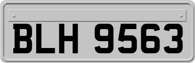BLH9563