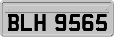 BLH9565