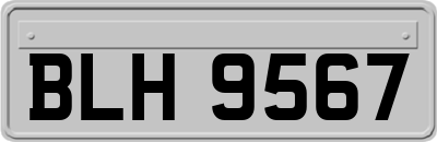 BLH9567