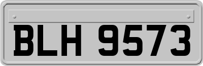 BLH9573