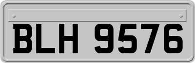 BLH9576