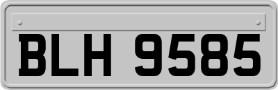 BLH9585