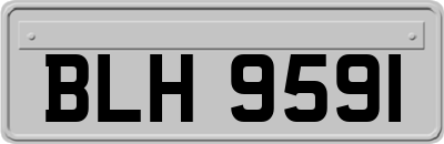 BLH9591