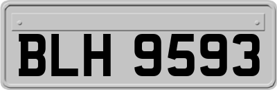 BLH9593