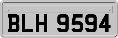 BLH9594
