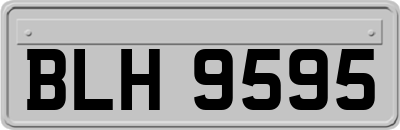 BLH9595