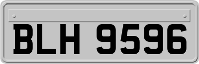 BLH9596