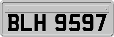 BLH9597