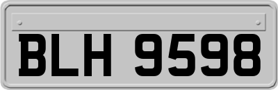 BLH9598