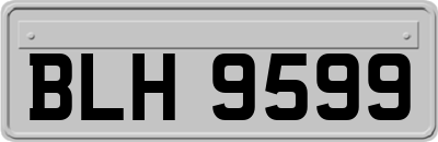 BLH9599