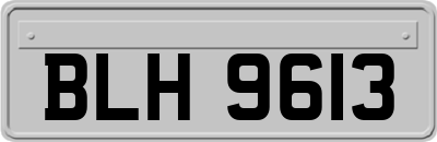 BLH9613