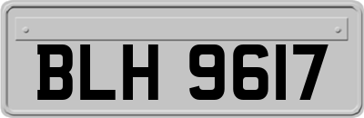 BLH9617