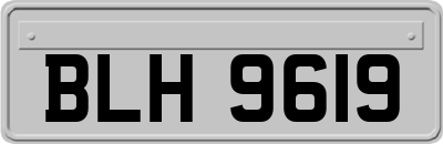 BLH9619