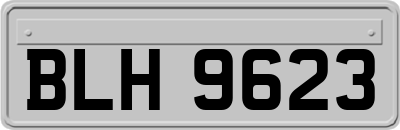 BLH9623