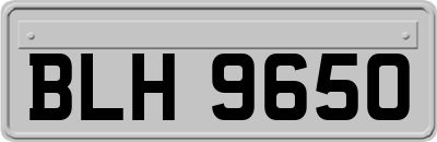 BLH9650