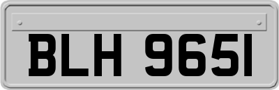 BLH9651